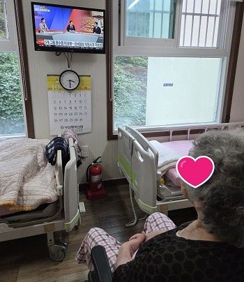 최신뉴스알기
