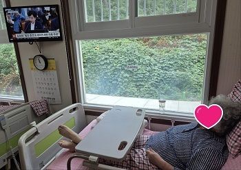 세상뉴스전하기